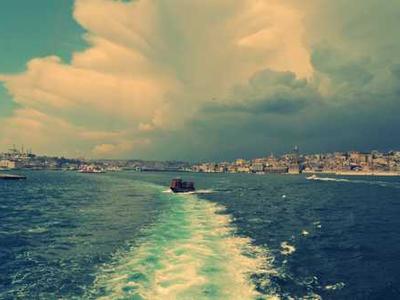 Book Club Questions for Children of Ever After by Avery Yearwood