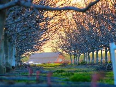 Why Are Book Club Picks Always So Heavy? How About Some Fantasy, Sci-Fi, and Romantasy Instead!